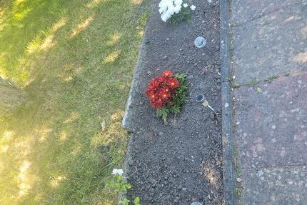 Grundstück Rostock Evershagen - 4.000&euro; | Angebot:25380327