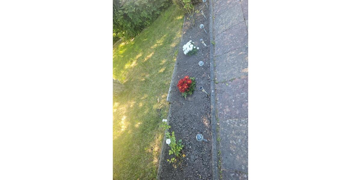 Grundstück Rostock Evershagen - 4.000&euro; | Angebot:25380327