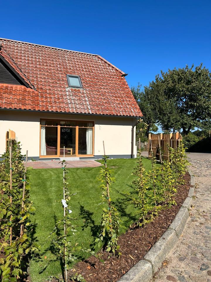 2 Zimmer Wohnung möbliert nahe Bad Doberan zimmer