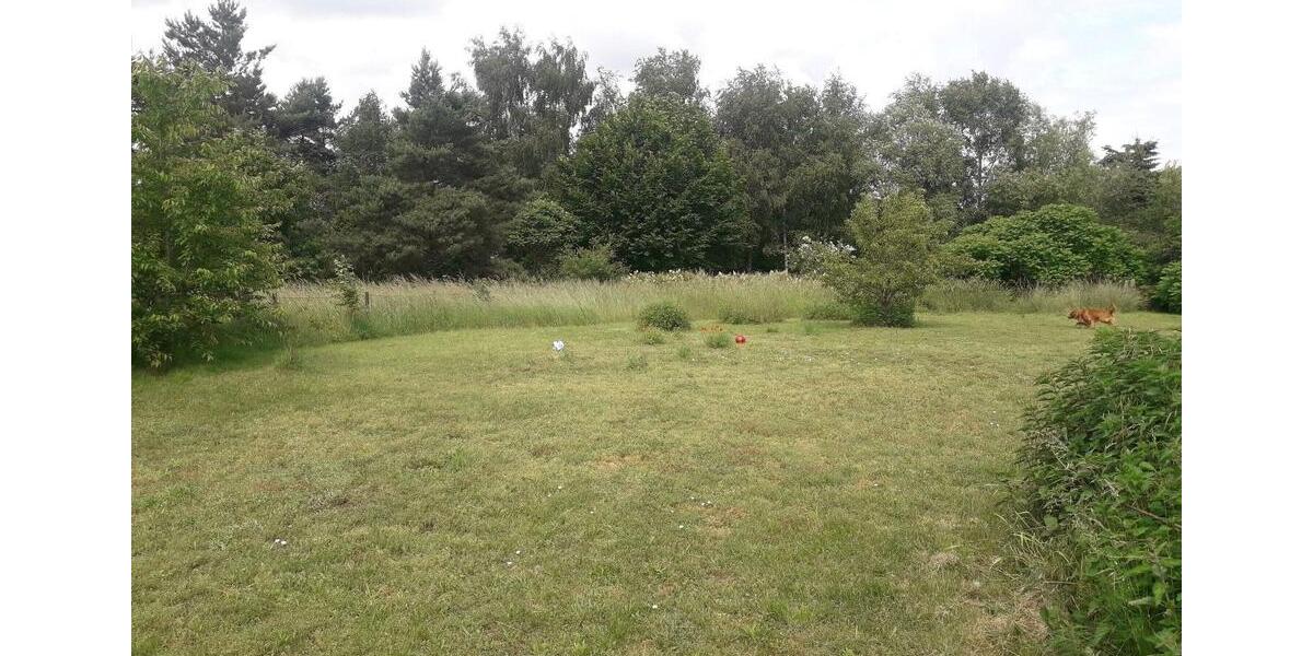 Ferienimmobilie Laage - 80&euro; | Angebot:26553848