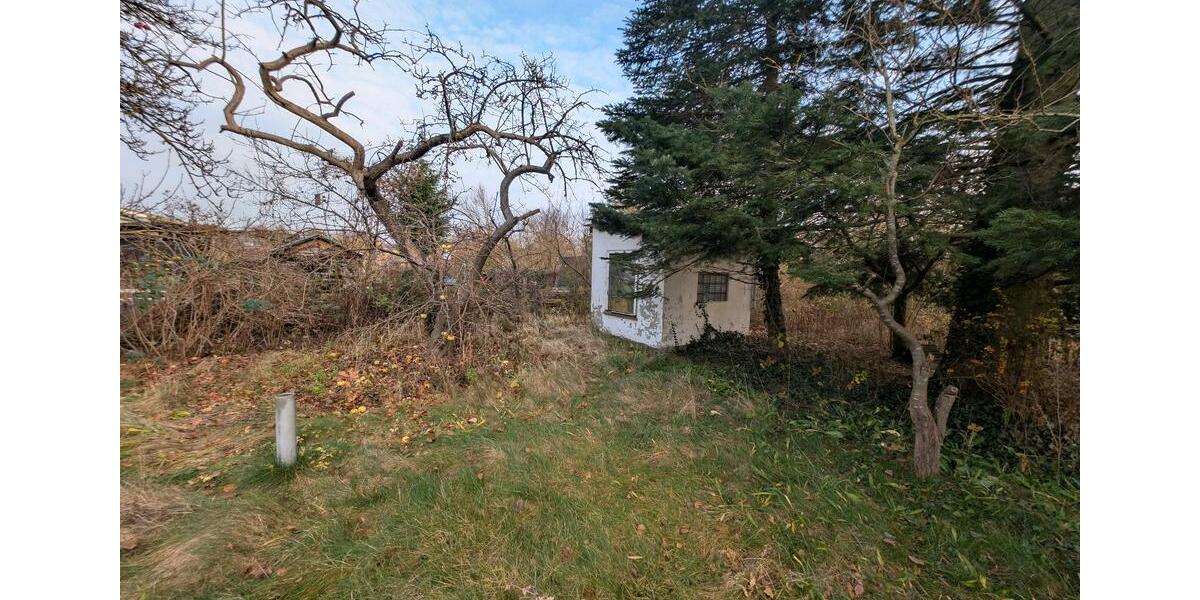 Grundstück Schwaan - 2.300&euro; | Angebot:24149260