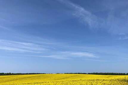 Grundstück Thelkow - 75.000&euro; | Angebot:25193013