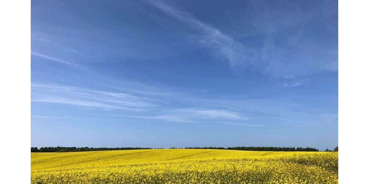 Grundstück Thelkow - 75.000&euro; | Angebot:25193013