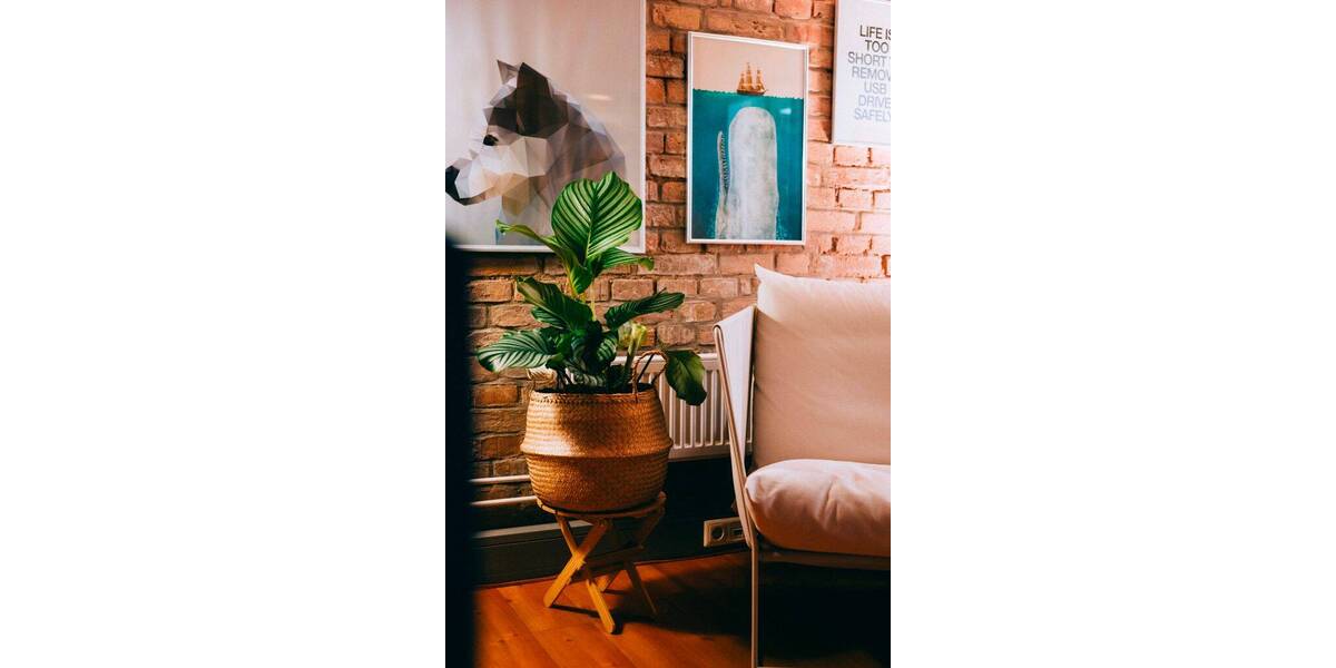 Gewerbeobjekt Rostock Stadtmitte - 160&euro; | Angebot:26435836
