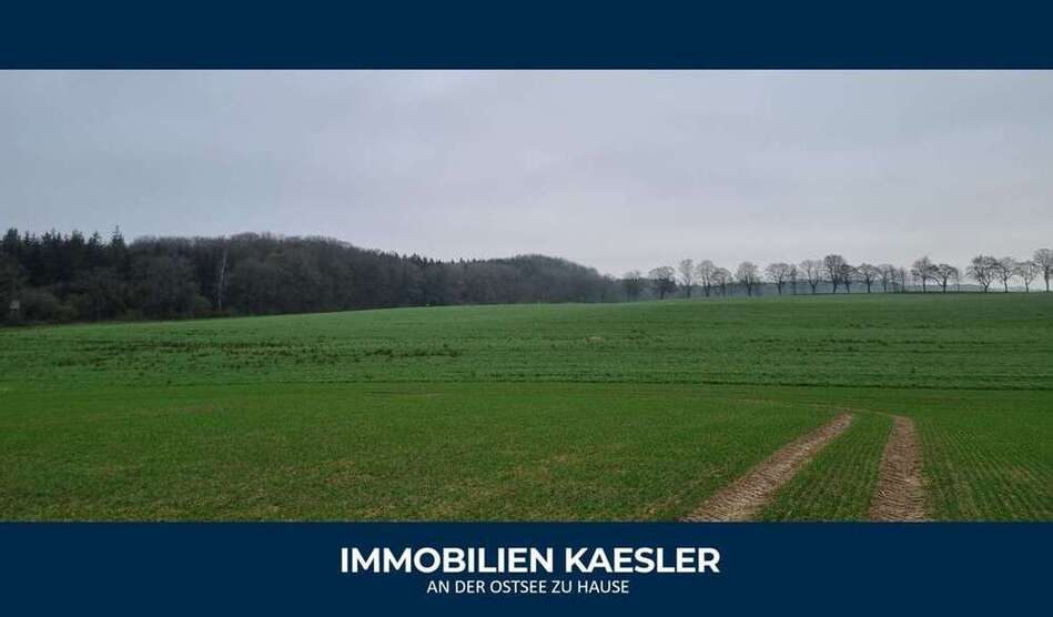 Grundstück in Satow 250.000 € 71261 m²