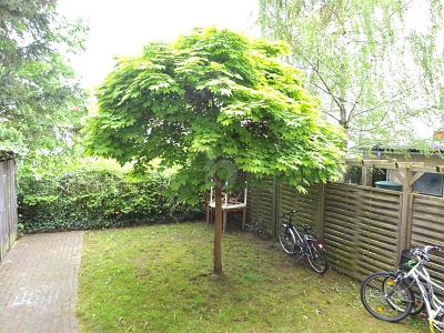 WERTSTEIGERUNGSOBJEKT IN ZENTRALER LAGE - Wohn- & Geschäftshaus Rostock Hansaviertel | Angebot:26206918