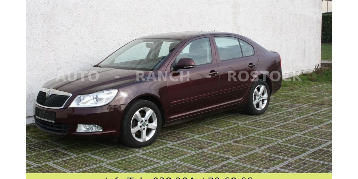Skoda Octavia 270.000 km 4.500 &euro; Broderstorf OT Pastow 18184