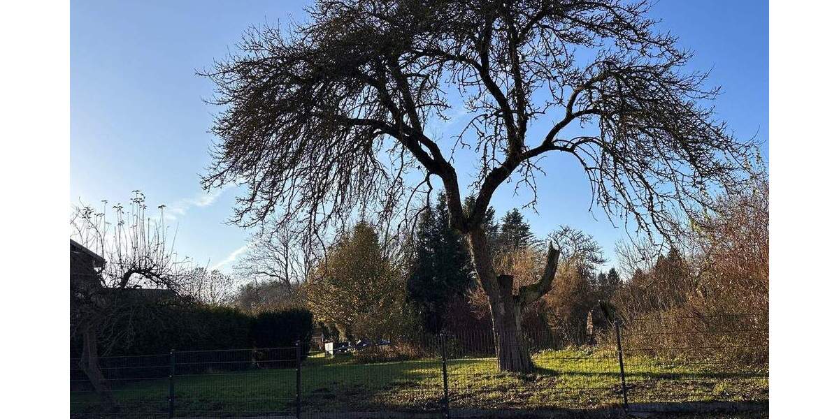 Mehrfamilienhaus, Wohnhaus Jürgenshagen - 9 Zimmer, 400 m&sup2;, 589.000&euro; | Angebot:26489073
