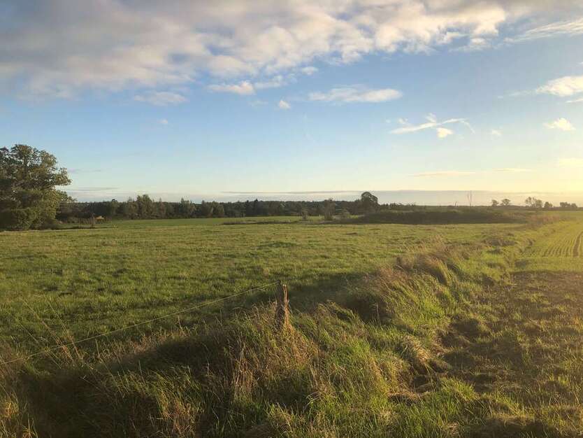 Grundstück zu verkaufen in Marlow 102.480 € 915 m²