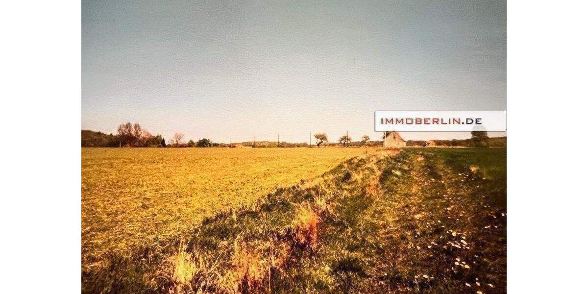 Grundstück Marlow Neu Guthendorf - 25.000&euro; | Angebot:24555522