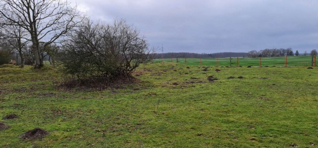 Ca 51400m2 Acker und Weideland nahe Rostock - Grundstück Thulendorf | Angebot:19800536