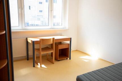 Wohnung Papendorf - 1 Zimmer, 14 m&sup2;, 309&euro; | Angebot:27700560