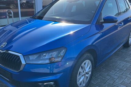 Skoda Fabia 15.432 km 16.490 &euro; Tessin 18195