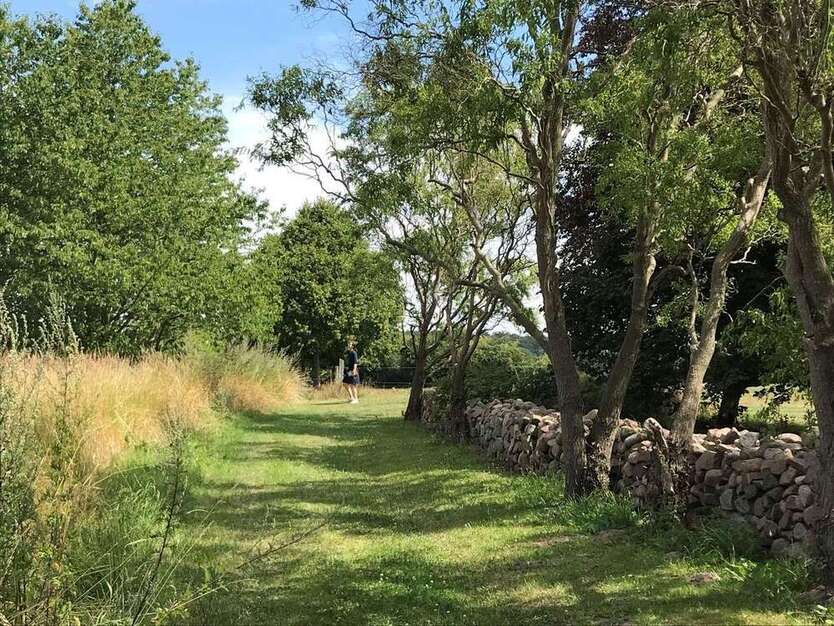 Grundstück zu verkaufen in Brünkendorf 119.000 € 2000 m²