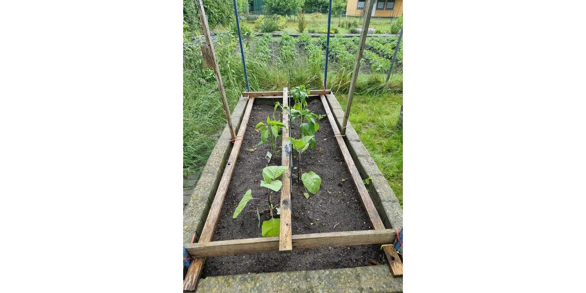 Grundstück Papendorf - 750&euro; | Angebot:25456981