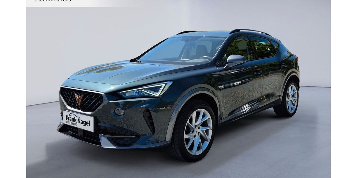 Cupra Formentor 122.150 km 22.222 &euro; Rostock 18106