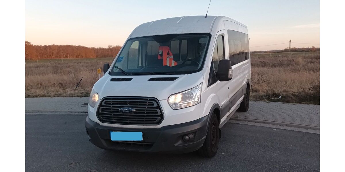 Ford Transit 250.000 km 6.950 &euro; Carinerland 18233