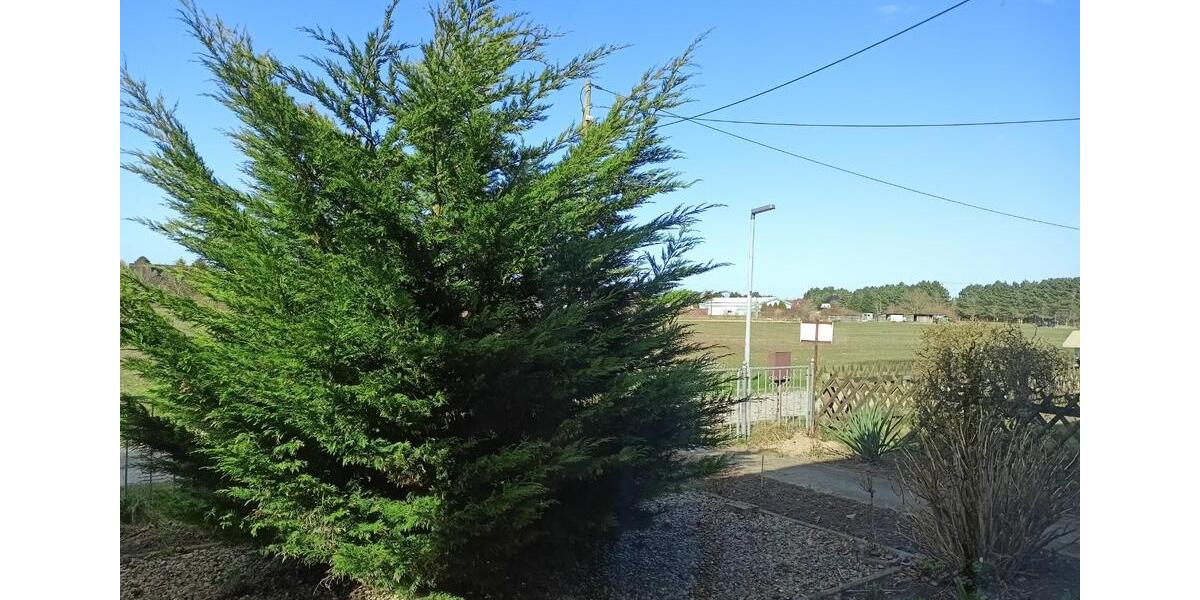 Ferienimmobilie Elmenhorst/Lichtenhagen Lichtenhagen - 60&euro; | Angebot:25976810