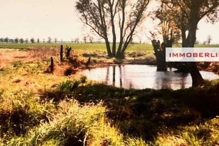 Grundstück Marlow - 25.000&euro; | Angebot:26107664