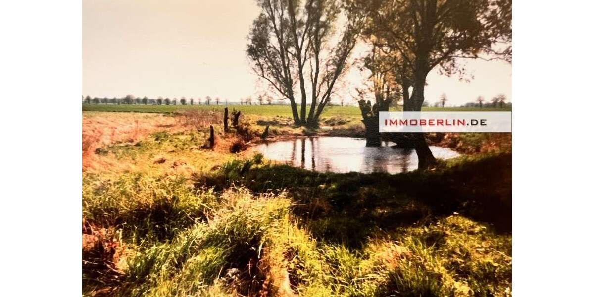 Grundstück Marlow - 25.000&euro; | Angebot:26107664