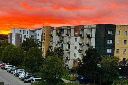 Apartment - Wohnung 2 zimmer