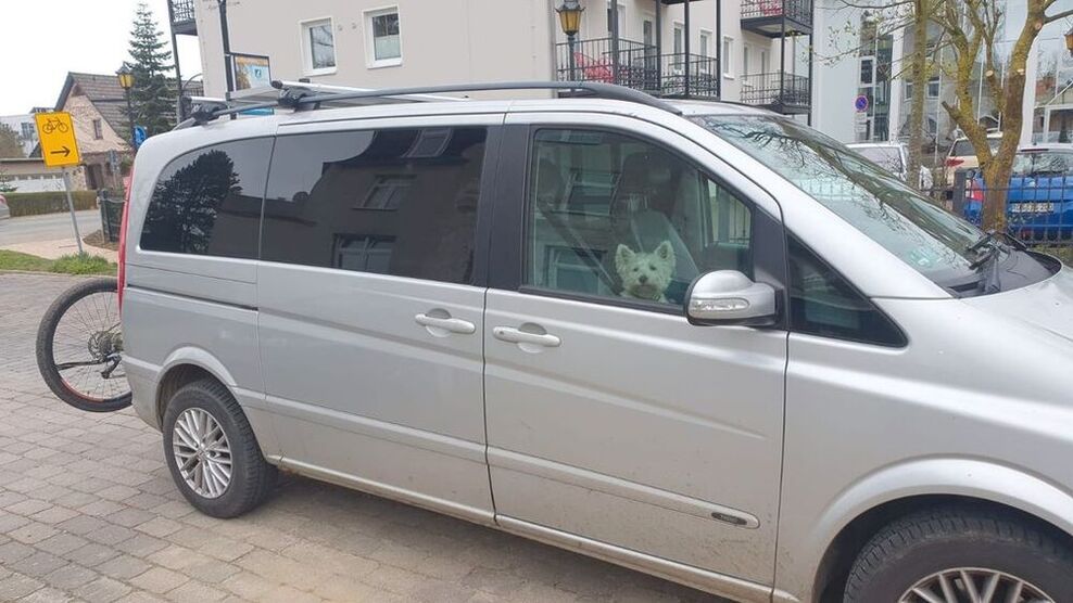 Viano