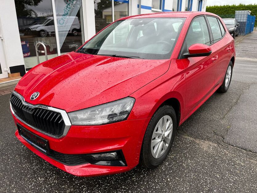 Skoda Fabia 6.831 km 17.990 € Tessin 18195