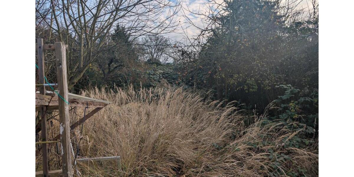 Grundstück Schwaan - 2.300&euro; | Angebot:24149260