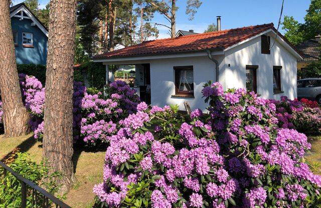 Bungalow Graal-Müritz Müritz - 2 Zimmer, 42 m&sup2;, 235.000&euro; | Angebot:23971368