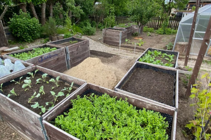 Grundstück Rostock Hansaviertel - 4.500&euro; | Angebot:25094779