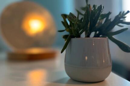 Wohnung Rostock Hansaviertel - 2 Zimmer, 50 m&sup2;, 360&euro; | Angebot:26239876