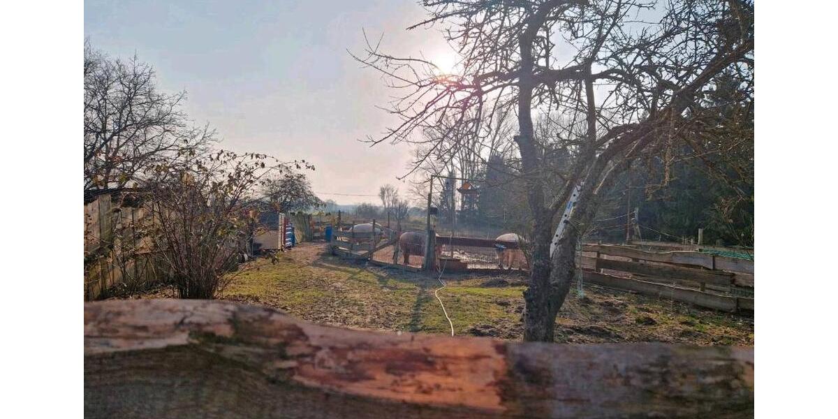 Einfamilienhaus Bützow - 6 Zimmer, 160 m&sup2;, 300.000&euro; | Angebot:26224157