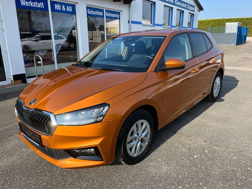 Skoda Fabia 8.794 km 17.990 € Tessin 18195