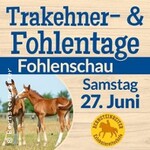 Fohlenschau der Ostsee-Trakehner