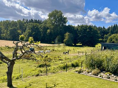 IHR ZUHAUSE MIT CHARME UND GRÜNBLICK - Einfamilienhaus Tessin | Angebot:26488008