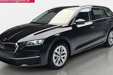 Skoda Octavia 8.340 km 30.990 € Rostock 18069