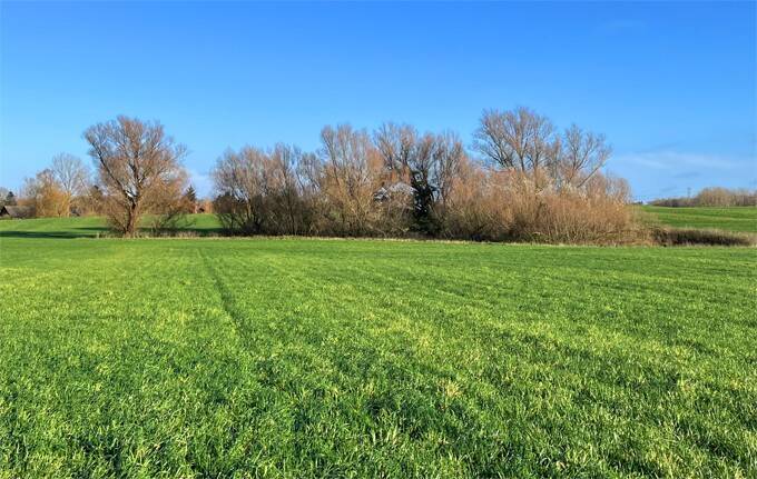 Grundstück Kritzmow - 850.000&euro; | Angebot:25732578