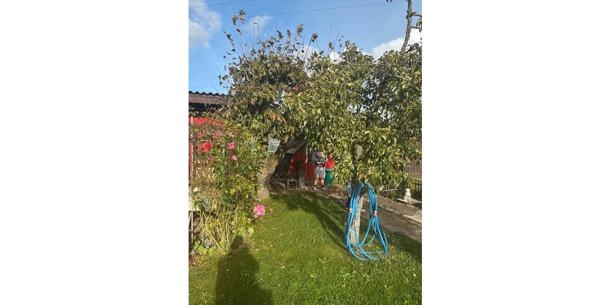 Grundstück Rostock Hansaviertel - 2.500&euro; | Angebot:26357398