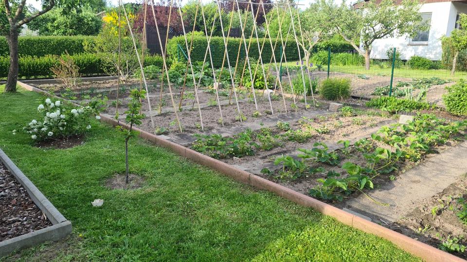 Einfamilienhaus Rostock Alt Bartelsdorf - 2 Zimmer, 36 m&sup2;, 11.900&euro; | Angebot:24582660