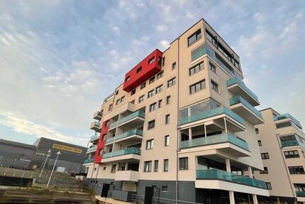 Wohnung Rostock Hansaviertel - 2 Zimmer, 75 m&sup2;, 1.500&euro; | Angebot:25808053