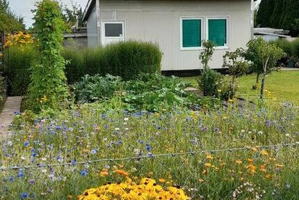 Grundstück Rostock Evershagen - 3.000&euro; | Angebot:25948636