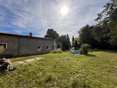 RAUM ZUM LEBEN - MIT GARAGE DER EXTRAKLASSE - Einfamilienhaus Kassow | Angebot:27298102