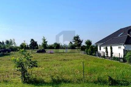 IHR PLATZ FÜR NEUE IDEEN! - Grundstück Kühlungsborn | Angebot:27233876