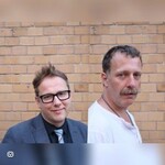 Tiere Streicheln Menschen