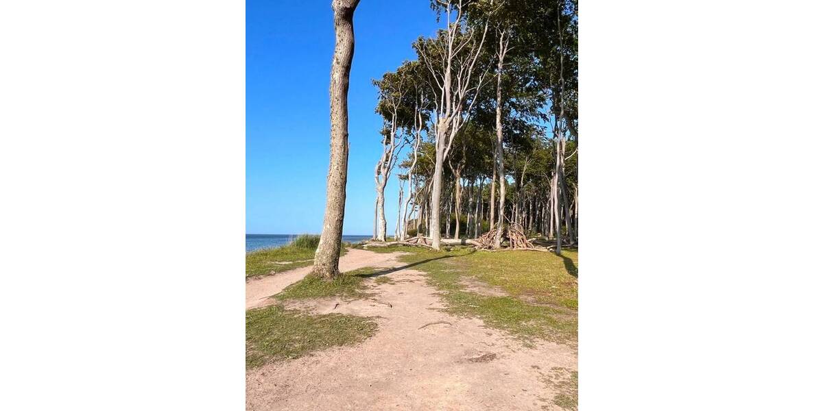 Etagenwohnung Börgerende-Rethwisch Bahrenhorst - 2 Zimmer, 219.900&euro; | Angebot:23624307