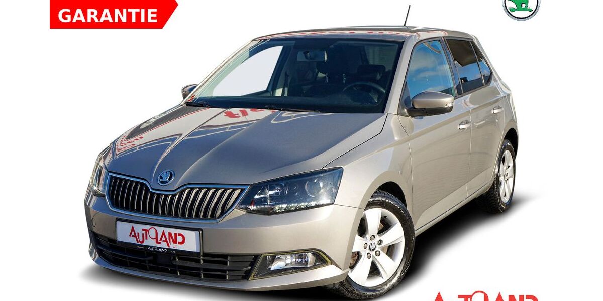 Skoda Fabia 67.618 km 11.990 &euro; Rostock 18146