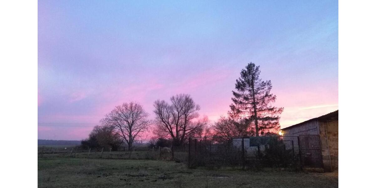 Einfamilienhaus Marlow - 7 Zimmer, 127 m&sup2;, 250.000&euro; | Angebot:26044110