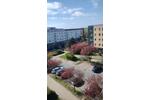 Etagenwohnung Rostock Gehlsdorf - 3 Zimmer, 63 m&sup2;, 480&euro; | Angebot:26561645