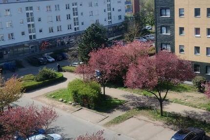Wohnung Rostock Gehlsdorf - 3 Zimmer, 63 m&sup2;, 480&euro; | Angebot:26561645