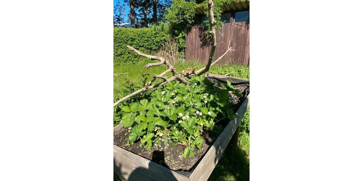 Grundstück Rostock - 7.000&euro; | Angebot:25256780